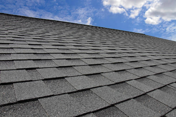 Best Storm Damage Roof Repair  in Escobares, TX